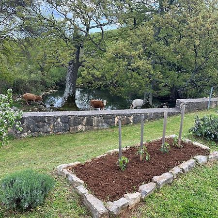 Holiday House Green Dream Obrovac Bagian luar foto