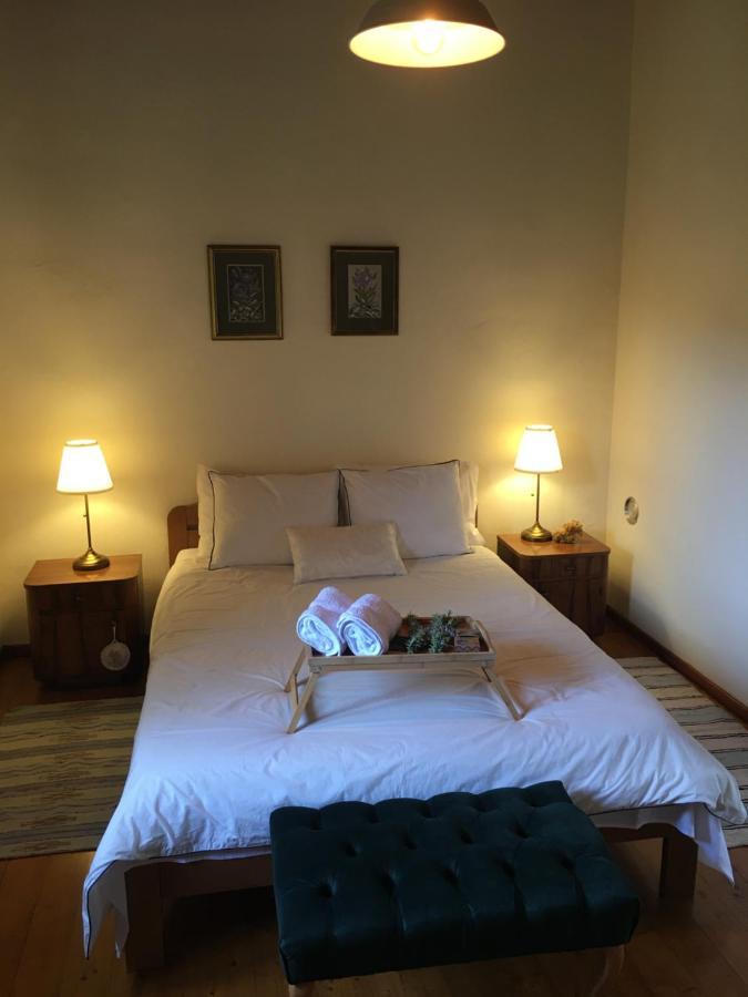 Holiday House Green Dream Obrovac Bagian luar foto