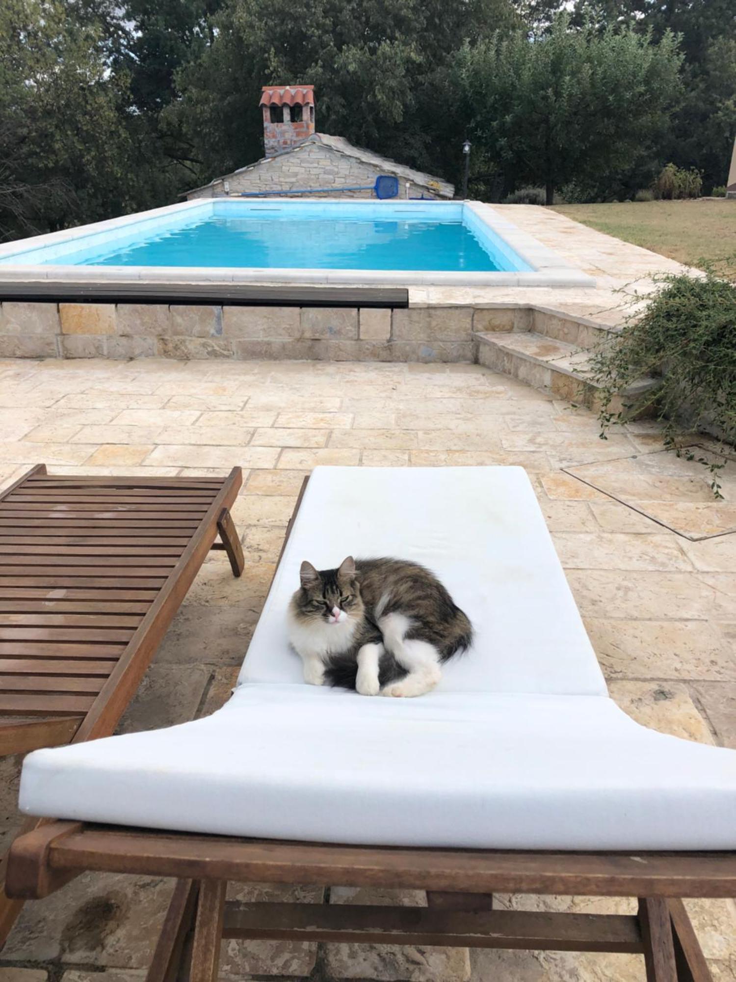 Holiday House Green Dream Obrovac Bagian luar foto